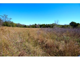 Property photo 22 - SIGNIFICANT LAND & PRODUCING MINERALS SEALED BID AUCTION - 233+/- ACRE FARM IN 1 TRACT - 6 MINERAL TRACTS IN GARVIN, MCCLAIN, GRADY & ROGER MILLS COUNTIES, OKLAHOMA